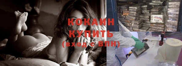 молекула духа Касимов
