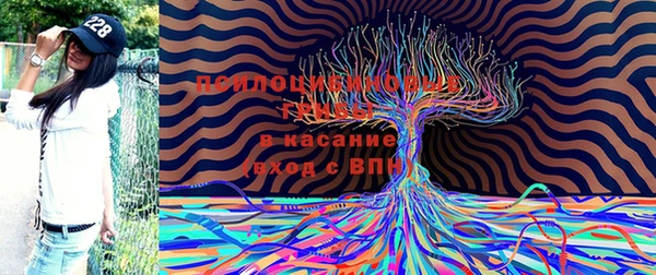 молекула духа Касимов