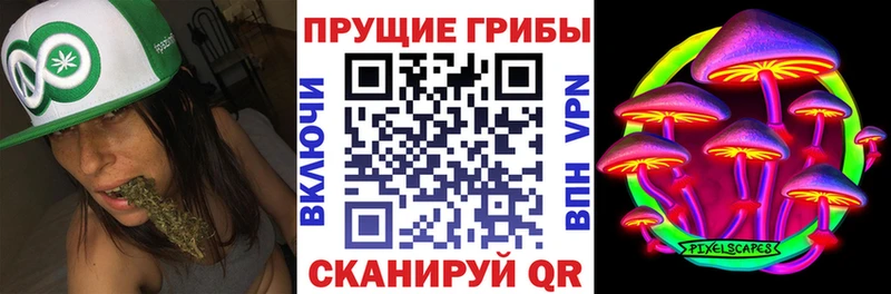 Галлюциногенные грибы прущие грибы  Мценск 