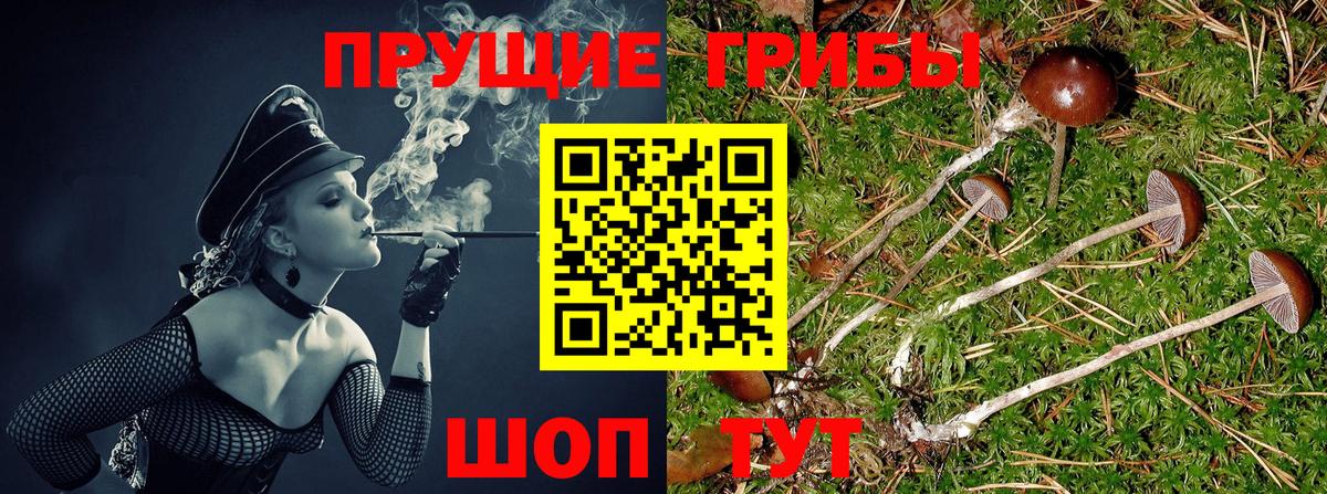 Мценск  где можно купить наркотик  Вход с VPN  Псилоцибиновые грибы MAGIC MUSHROOMS 