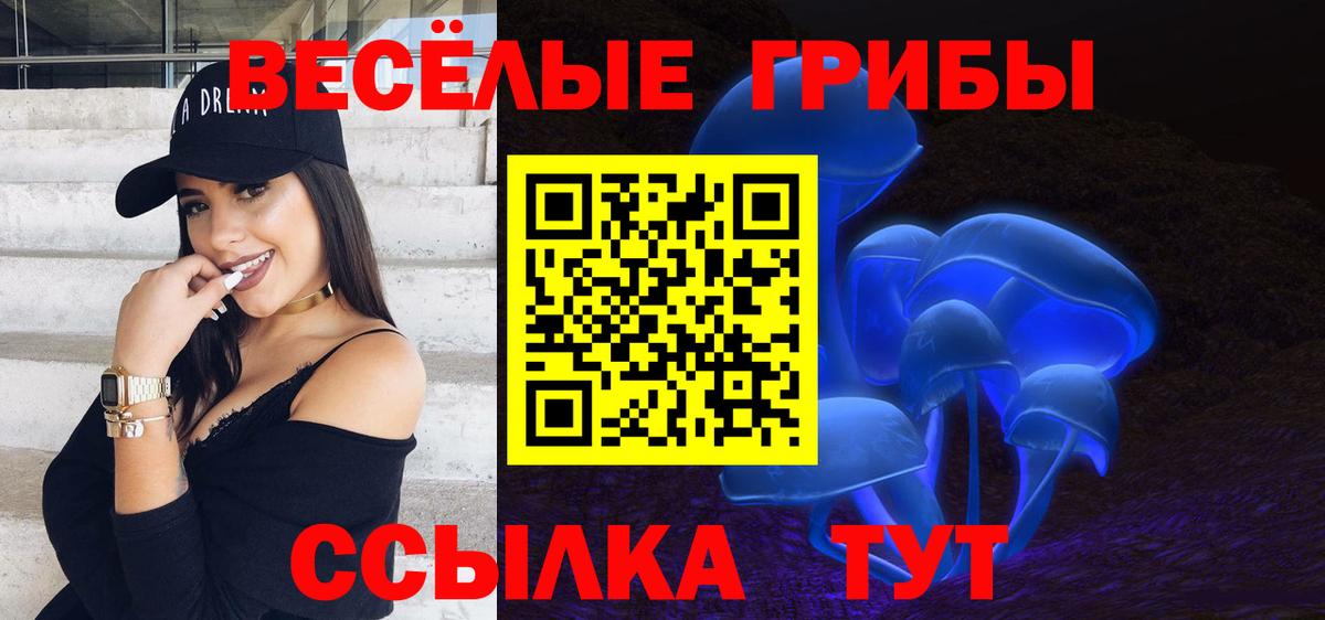 Псилоцибиновые грибы Psilocybe Мценск